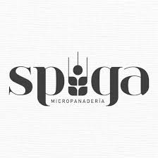 LOGO SPIGA